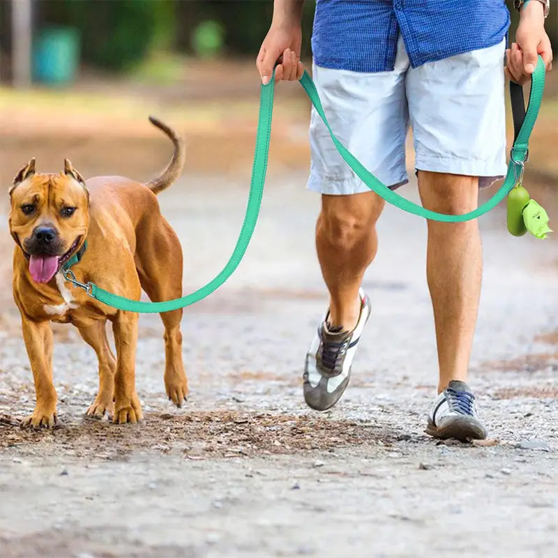 Reflective Nylon Dog Leash with Padded Handle – Durable, Comfortable, & Safe for Everyday Walks
